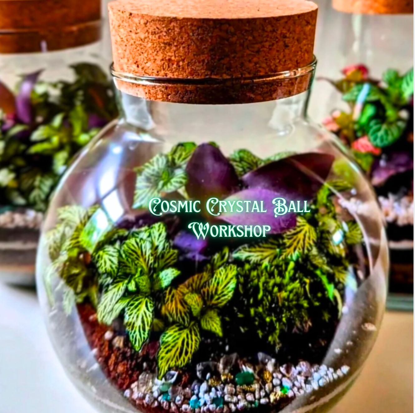 Terrarium Workshop: Cosmic Crystal Ball Workshop. Saturday, 14th December