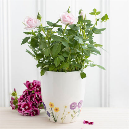 Plant Pot: Wildflower Bloom Ceramic Plant Pot – A Touch of Nature’s Beauty