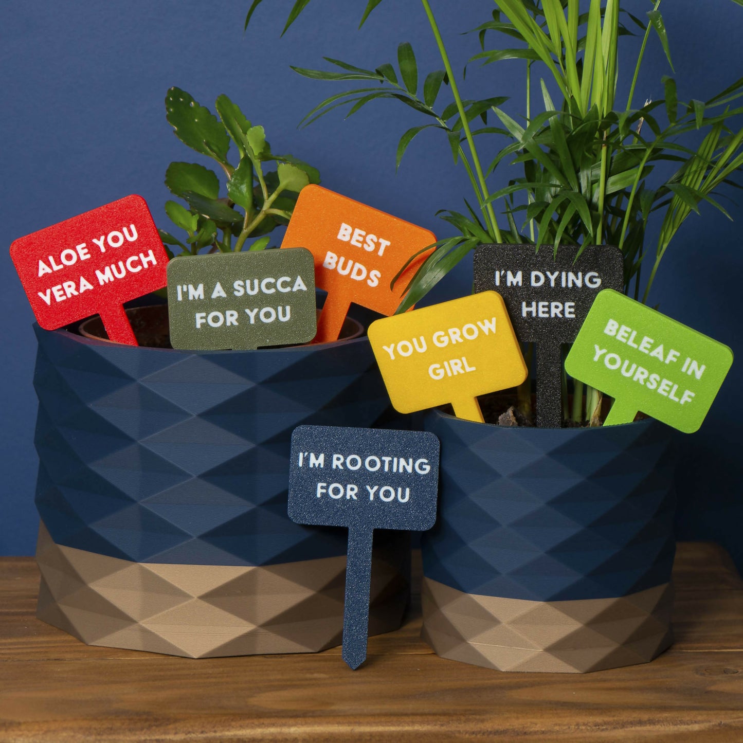 PP02-PlantPotSigns-001_WEB